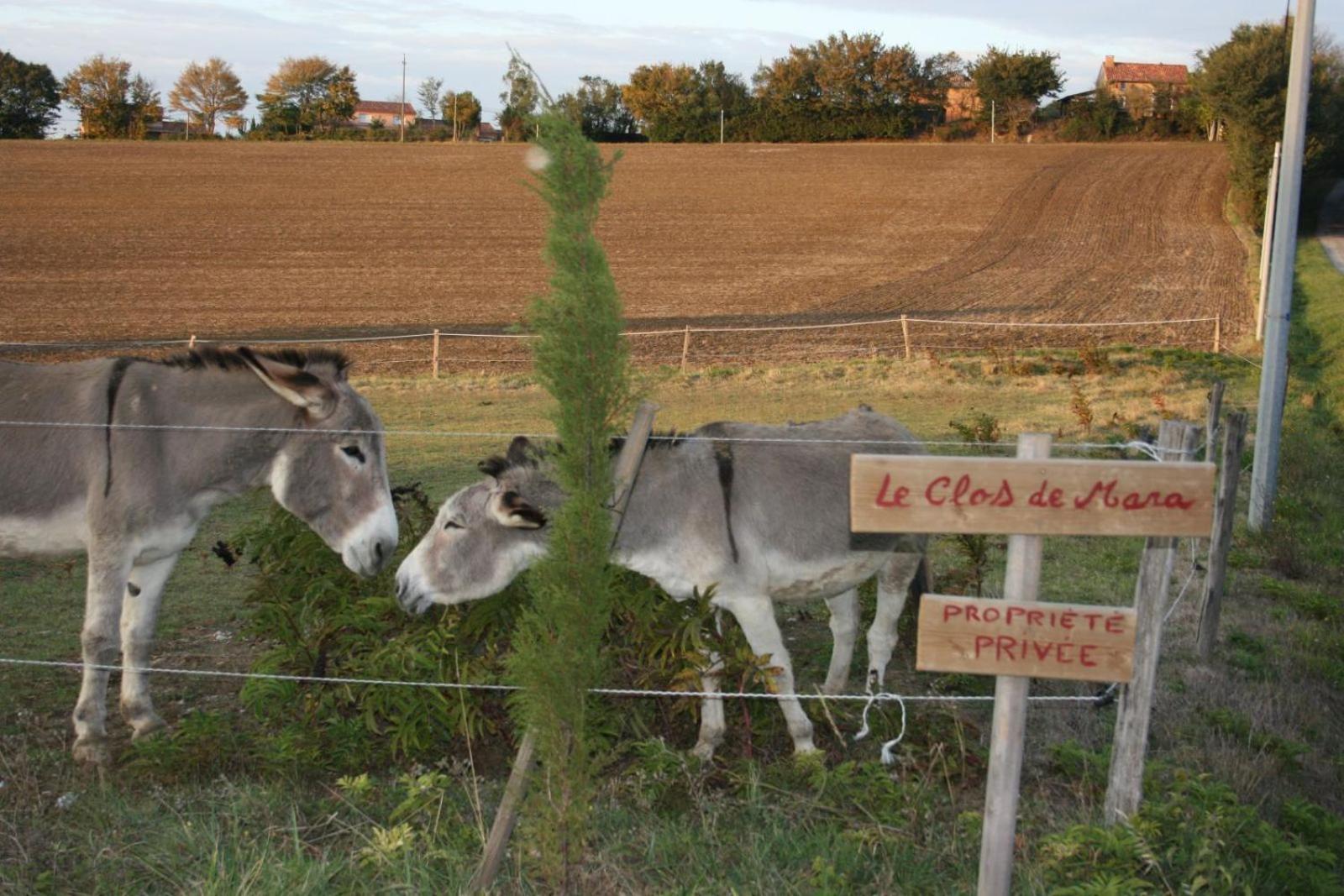 Le Clos de Mara Issus Extérieur photo
