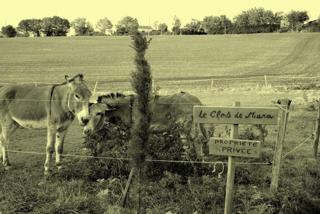 Le Clos de Mara Issus Extérieur photo